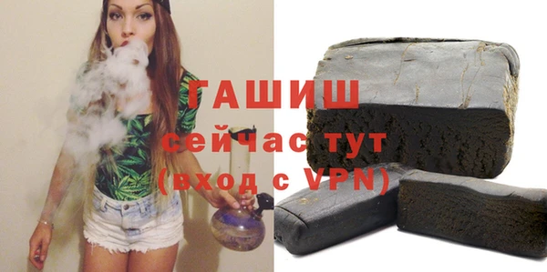 стаф Магас