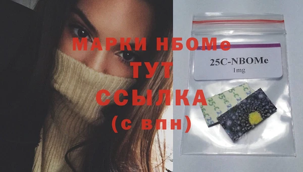 стаф Магас