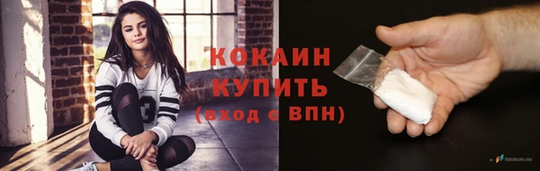 стаф Магас