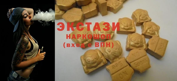 стаф Магас