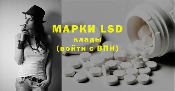 стаф Магас