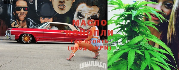 стаф Магас