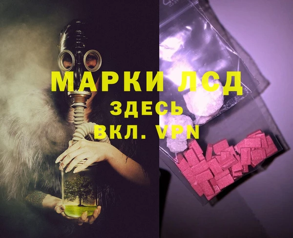 стаф Магас