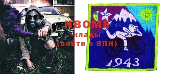 стаф Магас