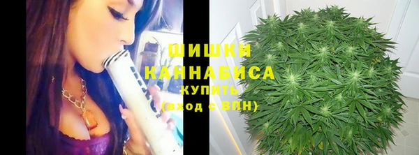 меф Долгопрудный