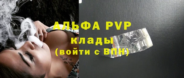 стаф Магас