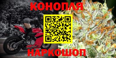 гидропоника Гагарин