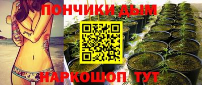 гидропоника Гагарин