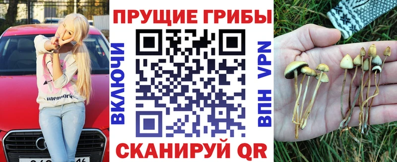 наркотики  Копейск  Псилоцибиновые грибы прущие грибы 