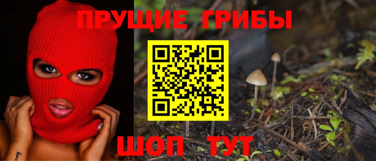 Псилоцибиновые грибы мухоморы Копейск